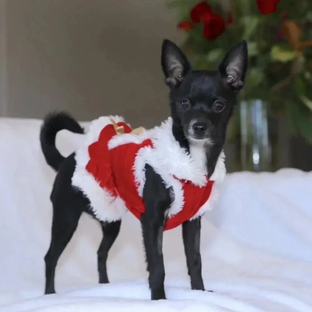 Santa Christmas dress